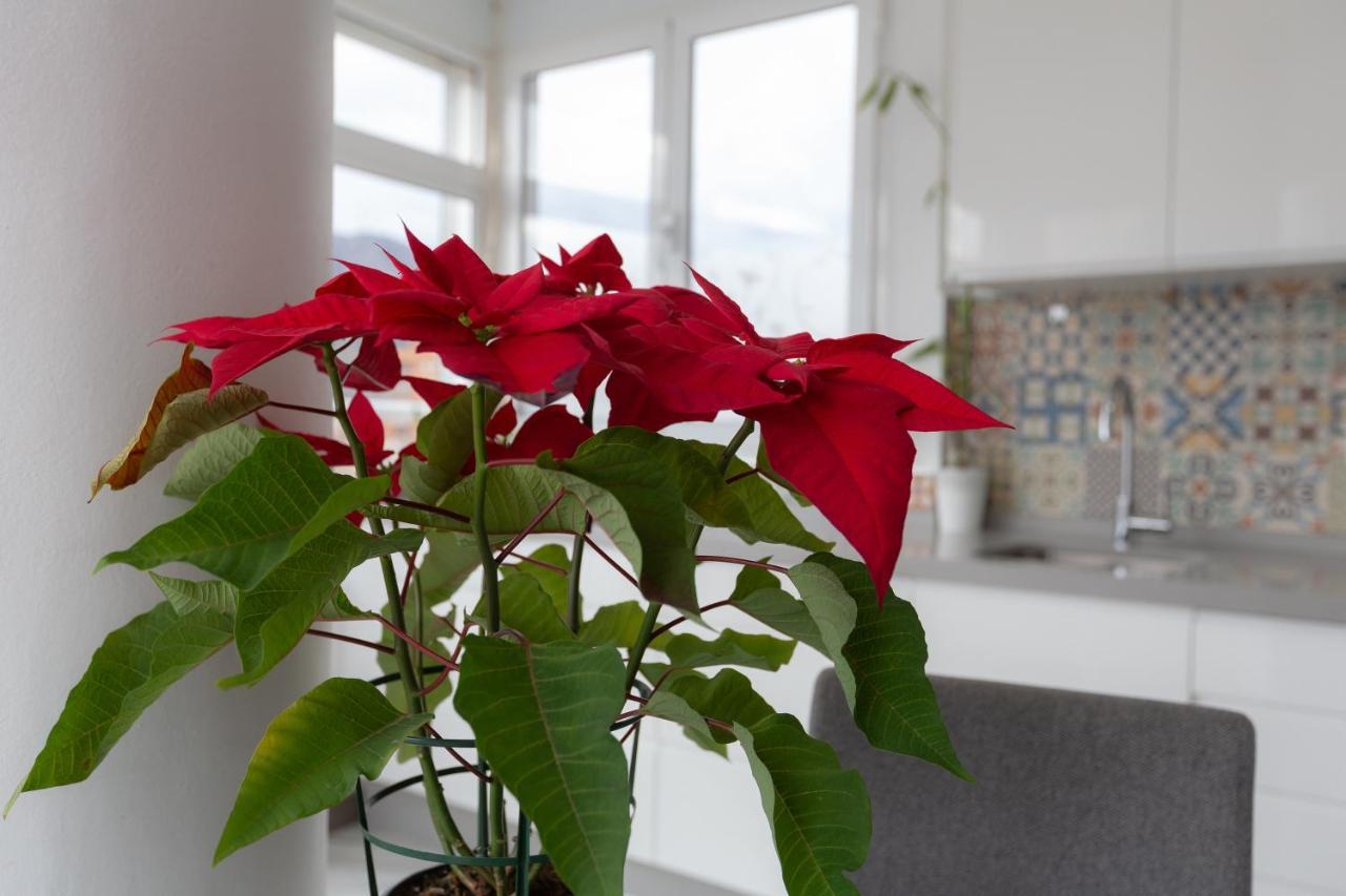 Apt Playa Y Montana Apartment Torremolinos Ngoại thất bức ảnh